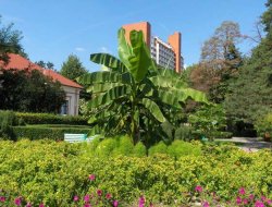 Baile Felix hotel accommodation