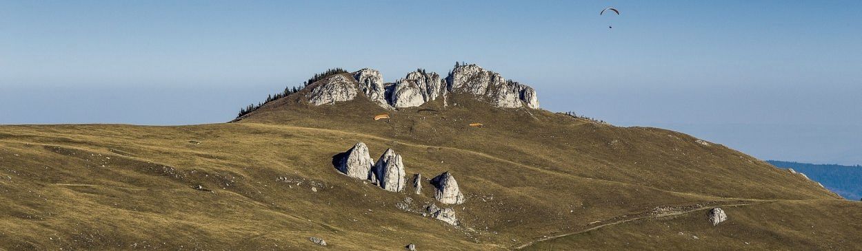 contur travel constanta